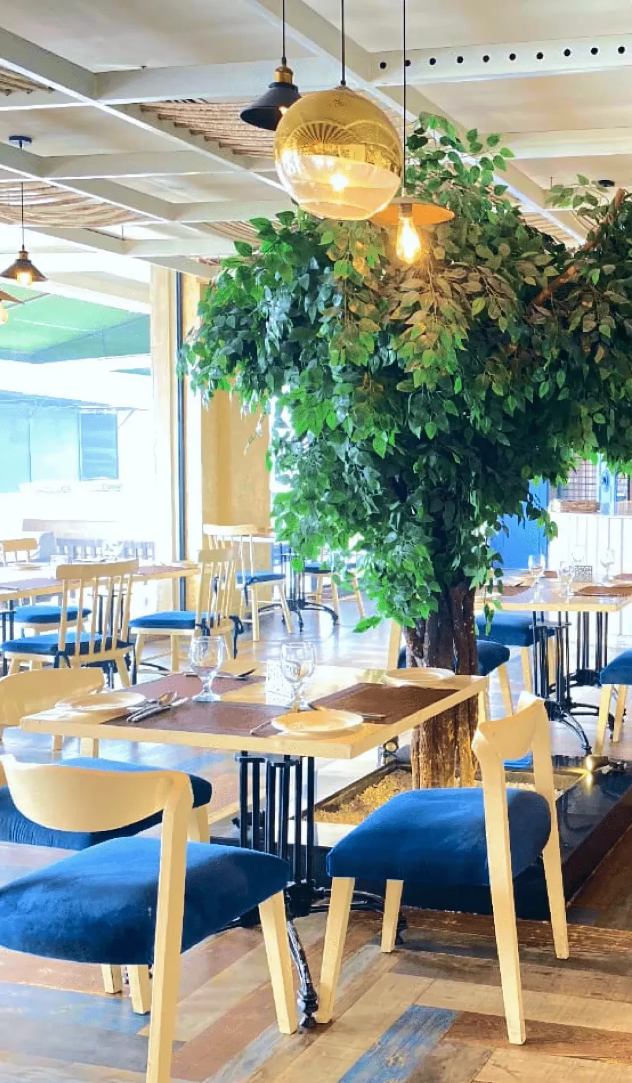 Cafés & Eateries